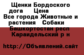 Щенки Бордоского дога.  › Цена ­ 30 000 - Все города Животные и растения » Собаки   . Башкортостан респ.,Караидельский р-н